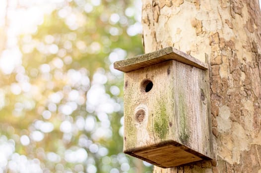 Wooden brown birdhouse on a trunk of a tree in the park. A house for the birds. Bird feeder. Copy space