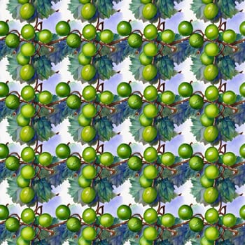 Watercolor green grape, branch on white background.Seamless pattern.