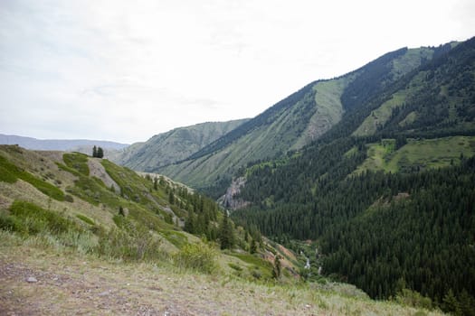 mountain landscape in kazakhstan on a summer day.