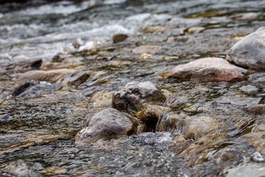 close-up of rocks in a mountain river in summer.