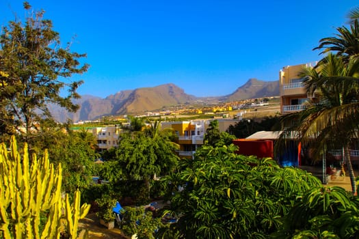 Landscape with tropical sea resort on a summer day. Tropical swimming pool, mountains and palms background. Palm trees Tenerife. High quality photo