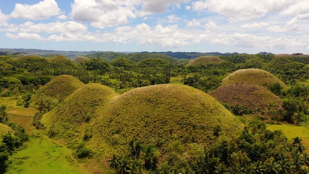 Aerial drone of the chocolate hills, a famous tourist destination on the island of Bohol, Philippines.