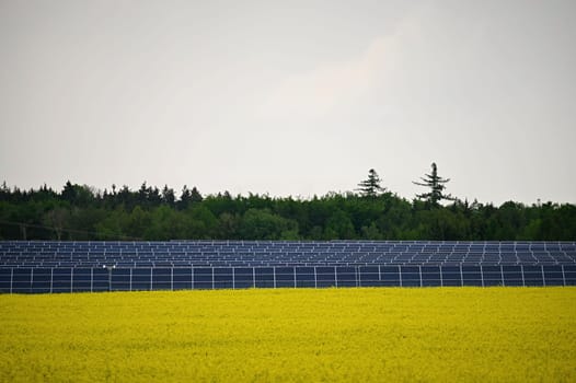 Solar power plant - concept for electricity and ecological industry. High energy prices. Beautiful landscape and sunny day with blue sky. Photovoltaic power plant.