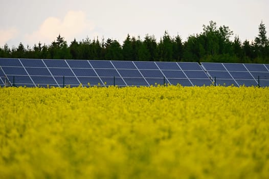 Solar power plant - concept for electricity and ecological industry. High energy prices. Beautiful landscape and sunny day with blue sky. Photovoltaic power plant.