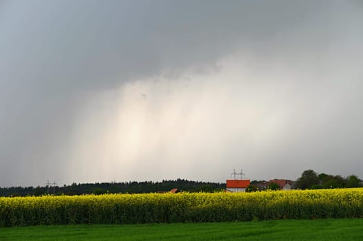 Rain and storm with landscape and natural color background. Concept for rain and bad weather.