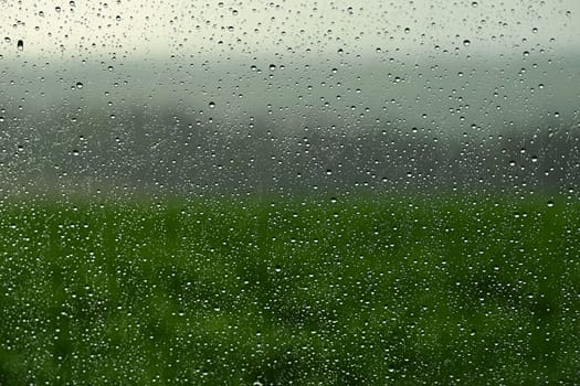 Drops on window with landscape and natural color background. Concept for rain and bad weather.