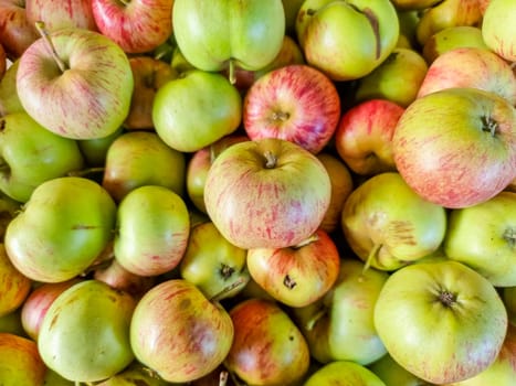 Green apple Raw fruit and vegetable backgrounds overhead perspective,