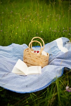 Very beautiful picnic in nature in the park. Straw bag, book, blue plaid. Outdoor recreation. Close-up