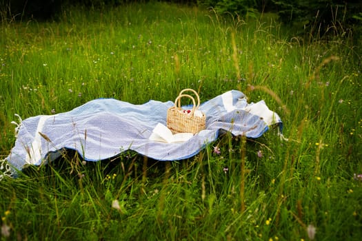Very beautiful picnic in nature in the park. Straw bag, book, blue plaid. Outdoor recreation