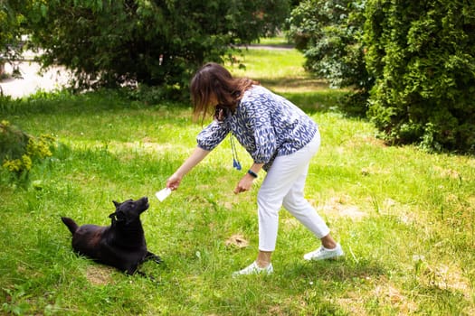 A young girl in white jeans plays with a black dog in the street. Outdoor recreation, walk in the park with the dog