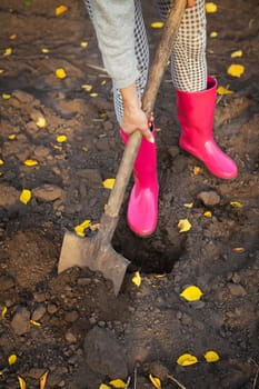 A girl in rubber boots stands in the garden with a shovel and digs. Close-up.