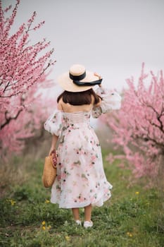 Woman blooming peach orchard. Against the backdrop of a picturesque peach orchard, a woman in a long dress and hat enjoys a peaceful walk in the park, surrounded by the beauty of nature