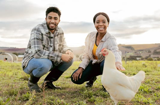 Farm, livestock and portrait of a couple with a chicken on an agriculture, sustainable and green field. Poultry, eco friendly and agro man and woman with a animal to monitor growth in the countryside.