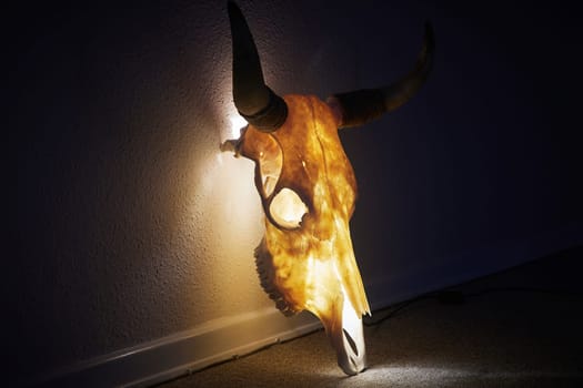 Huge bull skull turned into a lamp.