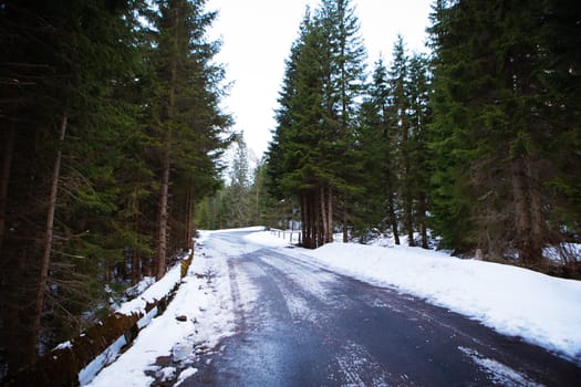Winter landscape - white and snowy road among trees in a deep forest.