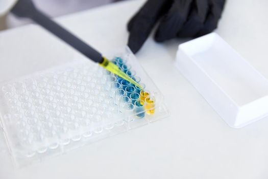 Lab Worker Adding Liquid to Test Tubes in laboratory