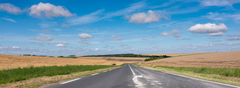 empty country road in the north of france near reims in champagne ardennes under blue sky in summer