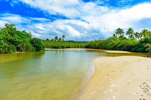 River with greenish waters flowing through the mangrove vegetation and rainforest in Serra Grande in the state of Bahia