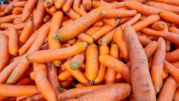 Texture background of fresh large orange carrots. Seamless carrot pattern.