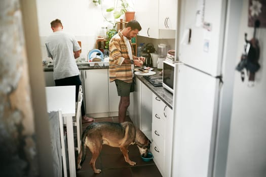 That time of the morning again. two young men making food together in the kitchen at home with their dog during the day