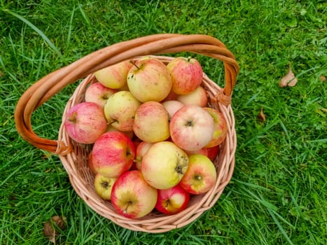 gardening, season, autumn and fruits concept - close up of wicker basket with ripe red apples and leaves on wooden table