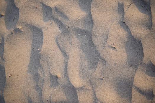 Sand dunes created by the wind. Lay flat.