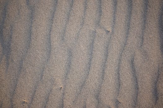 Sand dunes created by the wind. Lay flat.