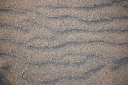 Sand dunes created by the wind. Lay flat.