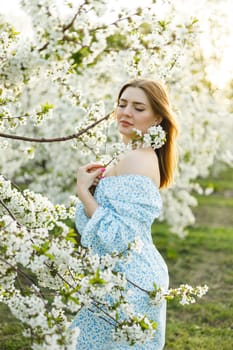 Attractive young woman in a delicate dress in a blossoming spring apple orchard. A gentle woman in a light summer dress.