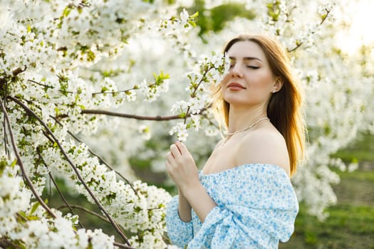 Attractive young woman in a delicate dress in a blossoming spring apple orchard. A gentle woman in a light summer dress.