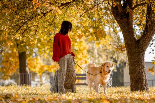 Beautiful girl with golden retriever dog in autumn park with yellow leaves. Pretty young woman with purebred doggy labrador at fall season at nature together