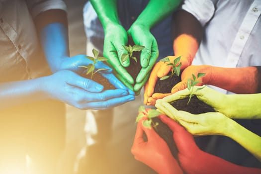 Our helping hands will give nature a chance. unrecognizable people holding budding plants in their multi colored hands