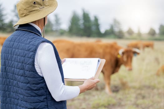 Farmer, cow or woman with checklist for animals healthcare, wellness or agriculture on grass field. Cattle or senior person working in countryside farming steak meat livestock in beef production.