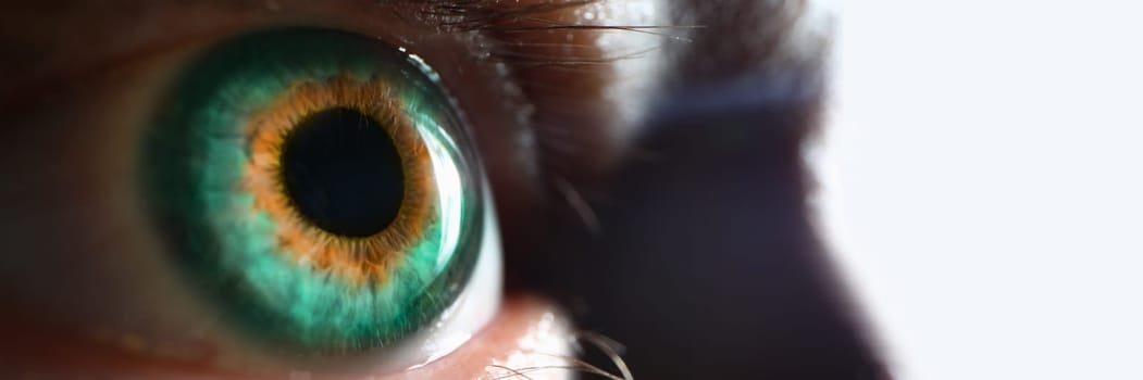 Perfect macro of grey-green eye and perfect vision. Hyperopia myopia astigmatism and laser vision correction concept