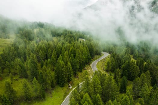 Aerial view of the high green coniferous forest covered with clouds at the foot of the mountain.