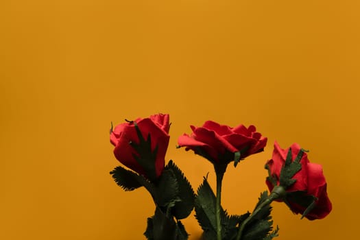 Bouquet of red roses isolated on yellow background with copy space, floral background.