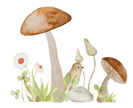 Forest mushrooms and bird fairytale watercolor painting. Cartoon wood fungal vegetable with grass and flowers aquarelle drawing