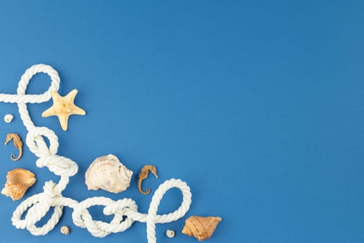 Seashells with starfish and marine rope on blue isolated background. Top view. Summer beach vacation concept. Flat lay.