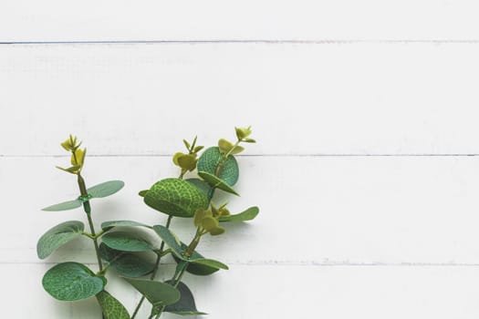 Top view of leaf bouquet on white table background for nature decoration and springtime concept