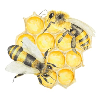 Watercolor illustration of bee and honey. Hand drawn and isolated on white background. Great for printing on fabric, postcards, invitations, menus, cosmetics, cooking books and more.