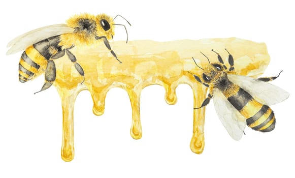 Watercolor illustration of honey and bees. Hand drawn and isolated on white background. Great for printing on fabric, postcards, invitations, menus, cosmetics, cooking books and others.