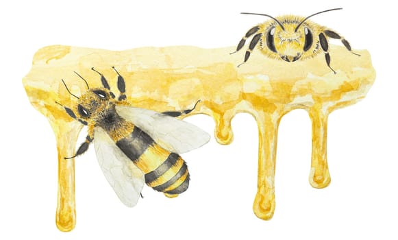 Watercolor illustration of honey and bees. Hand drawn and isolated on white background. Great for printing on fabric, postcards, invitations, menus, cosmetics, cooking books and others.