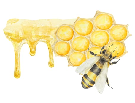 Watercolor illustration of honey and bee. Hand drawn and isolated on white background. Great for printing on fabric, postcards, invitations, menus, cosmetics, cooking books and others.