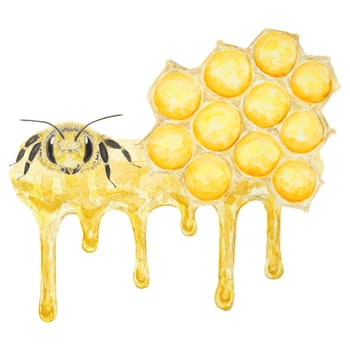 Watercolor illustration of honey and bee. Hand drawn and isolated on white background. Great for printing on fabric, postcards, invitations, menus, cosmetics, cooking books and others.