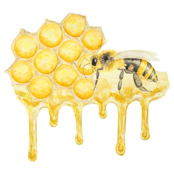 Watercolor illustration of honey and bee. Hand drawn and isolated on white background. Great for printing on fabric, postcards, invitations, menus, cosmetics, cooking books and others.