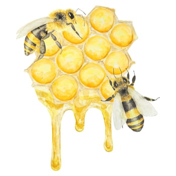 Watercolor illustration of honey and bee. Hand drawn and isolated on white background. Great for printing on fabric, postcards, invitations, menus, cosmetics, cooking books and others.