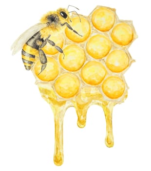 Watercolor illustration of honey and bee. Hand drawn and isolated on white background. Great for printing on fabric, postcards, invitations, menus, cosmetics, cooking books and others.