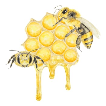 Watercolor illustration of honey and bees. Hand drawn and isolated on white background. Great for printing on fabric, postcards, invitations, menus, cosmetics, cooking books and others.