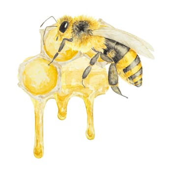 Watercolor illustration of honey and bees. Hand drawn and isolated on white background. Great for printing on fabric, postcards, invitations, menus, cosmetics, cooking books and others.