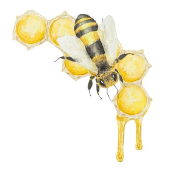 Watercolor illustration of honey and bees. Hand drawn and isolated on white background. Great for printing on fabric, postcards, invitations, menus, cosmetics, cooking books and others.